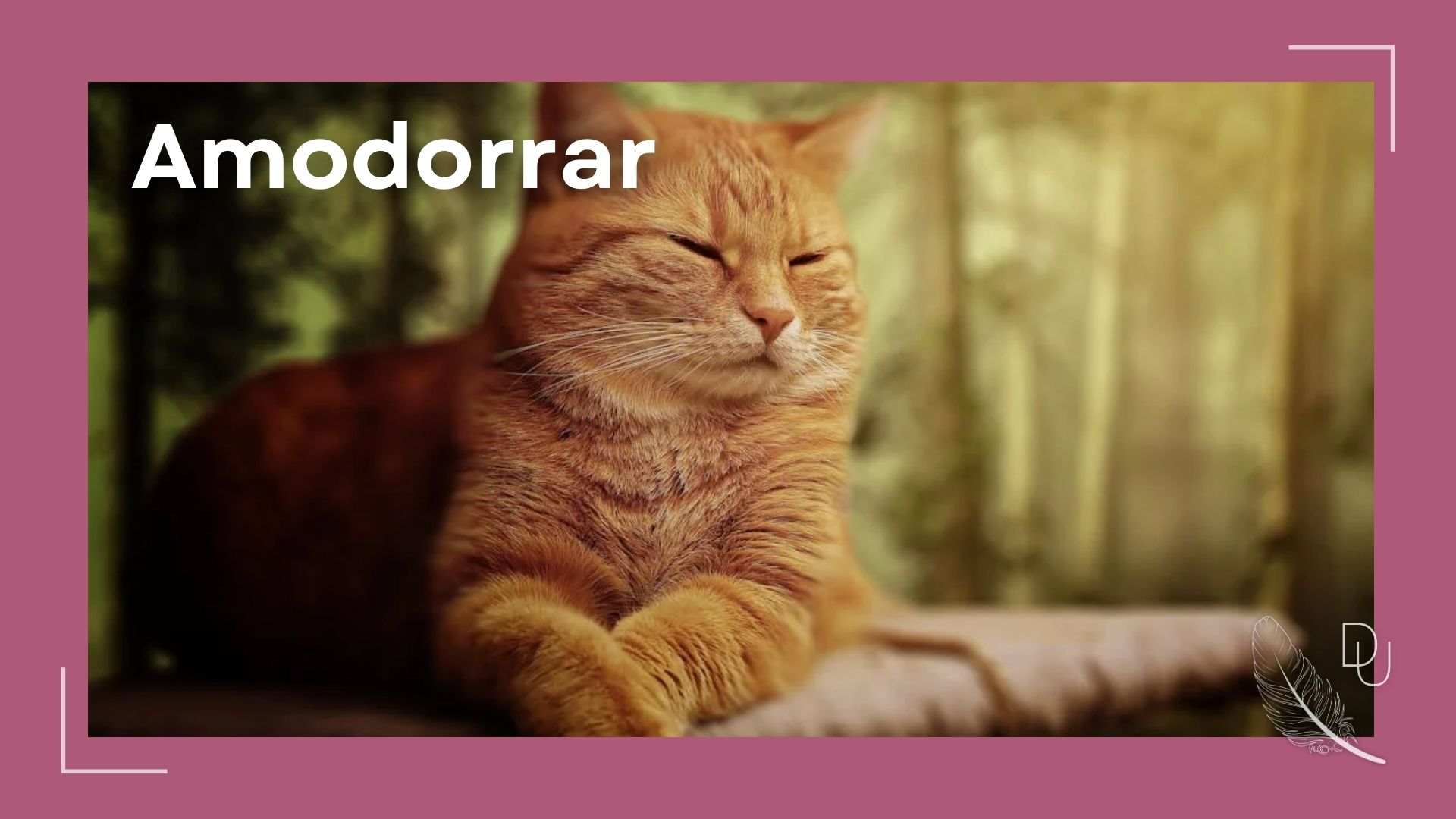 Amodorrar